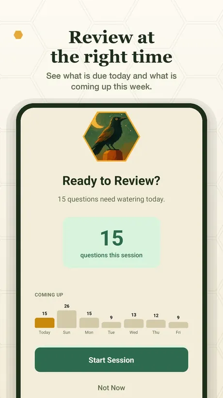A Munin review session with a typed answer question